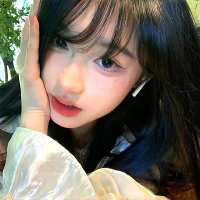 方案